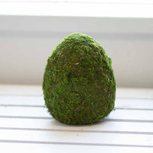  Moss Egg Decor Green 6.5" The Royal StandardConfetti Interiors