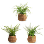 15" Potted Fern in Basket by Raz Imports at Confetti Gift and Party Tuscaloosa Alabama