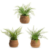 15" Potted Fern in Basket by Raz Imports at Confetti Gift and Party Tuscaloosa Alabama