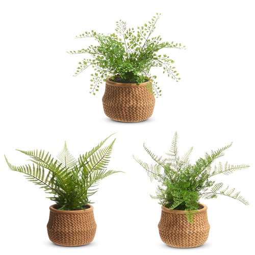 15" Potted Fern in Basket by Raz Imports at Confetti Gift and Party Tuscaloosa Alabama