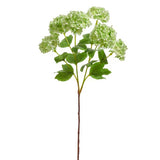 24" Green Hydrangea Spray by Raz Imports at Confetti Gift and Party Tuscaloosa Alabama