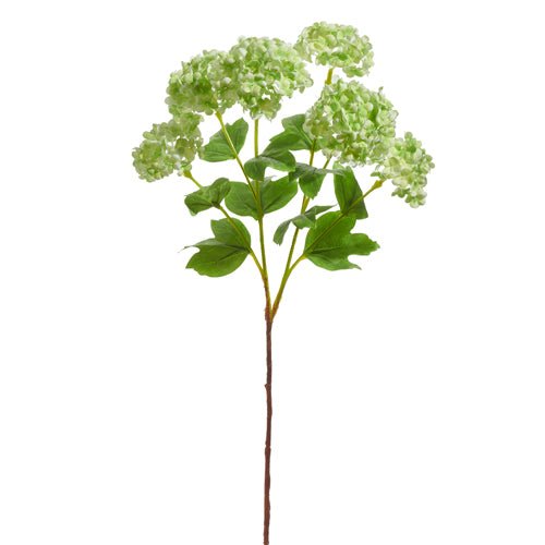 24" Green Hydrangea Spray by Raz Imports at Confetti Gift and Party Tuscaloosa Alabama