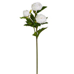 30" White Peony Spray by Raz Imports at Confetti Gift and Party Tuscaloosa Alabama