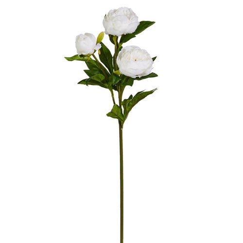 30" White Peony Spray by Raz Imports at Confetti Gift and Party Tuscaloosa Alabama