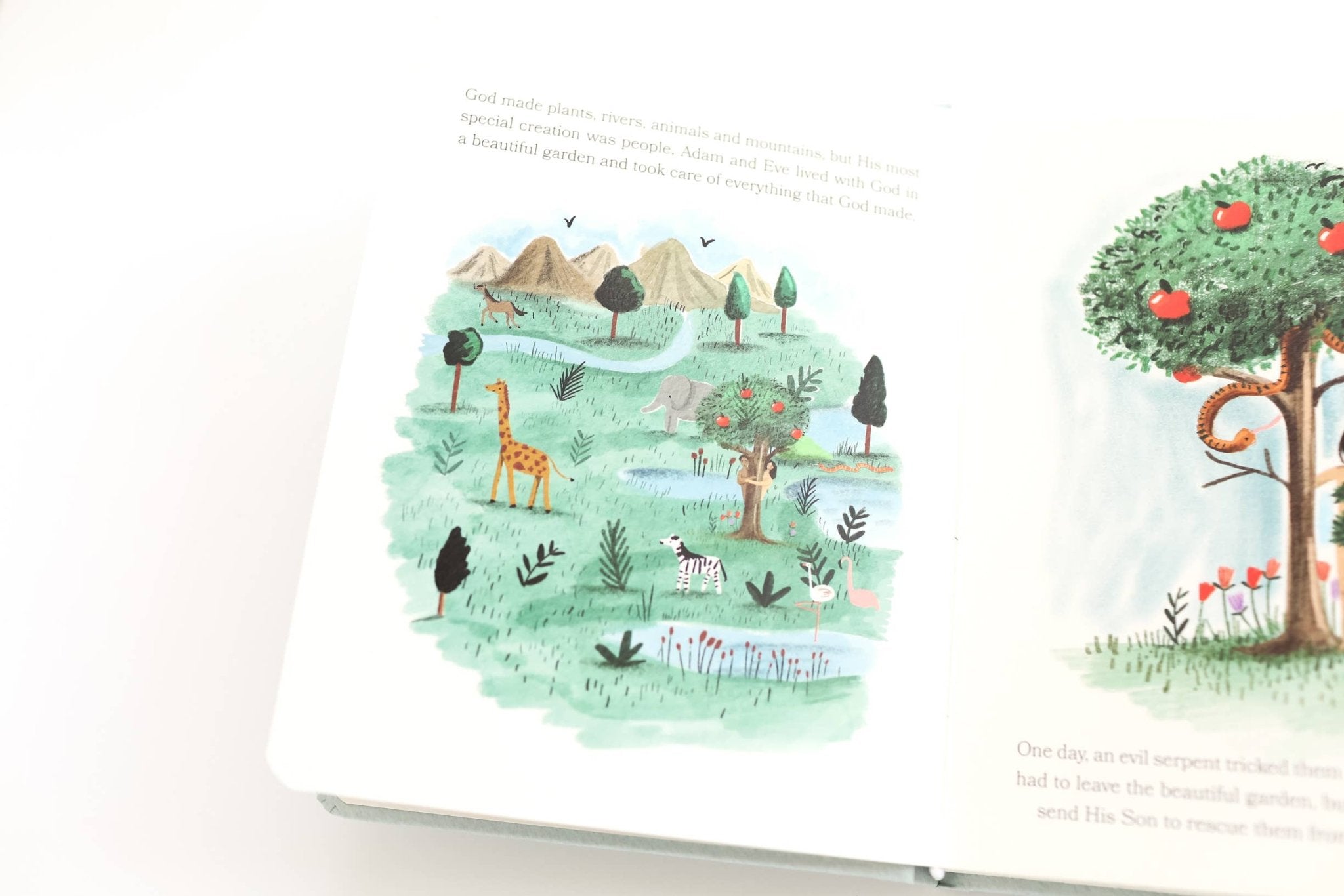 Baby’s First Bible Board Book – Keepsake Christian Baby Gift by Paper Peony Press at Confetti Gift and Party Tuscaloosa Alabama