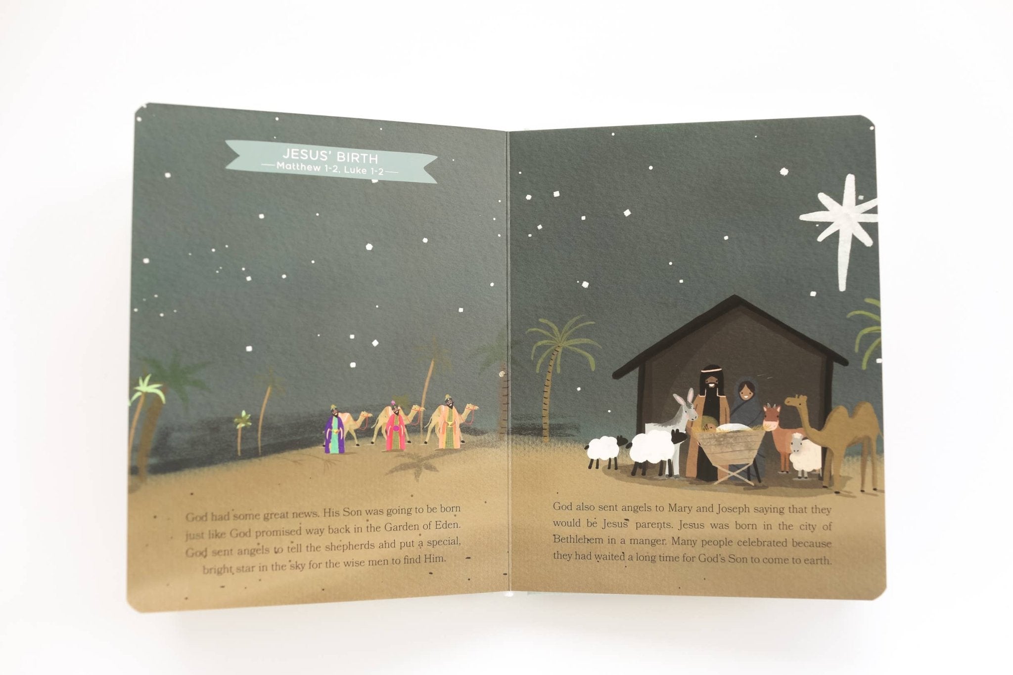 Baby’s First Bible Board Book – Keepsake Christian Baby Gift by Paper Peony Press at Confetti Gift and Party Tuscaloosa Alabama