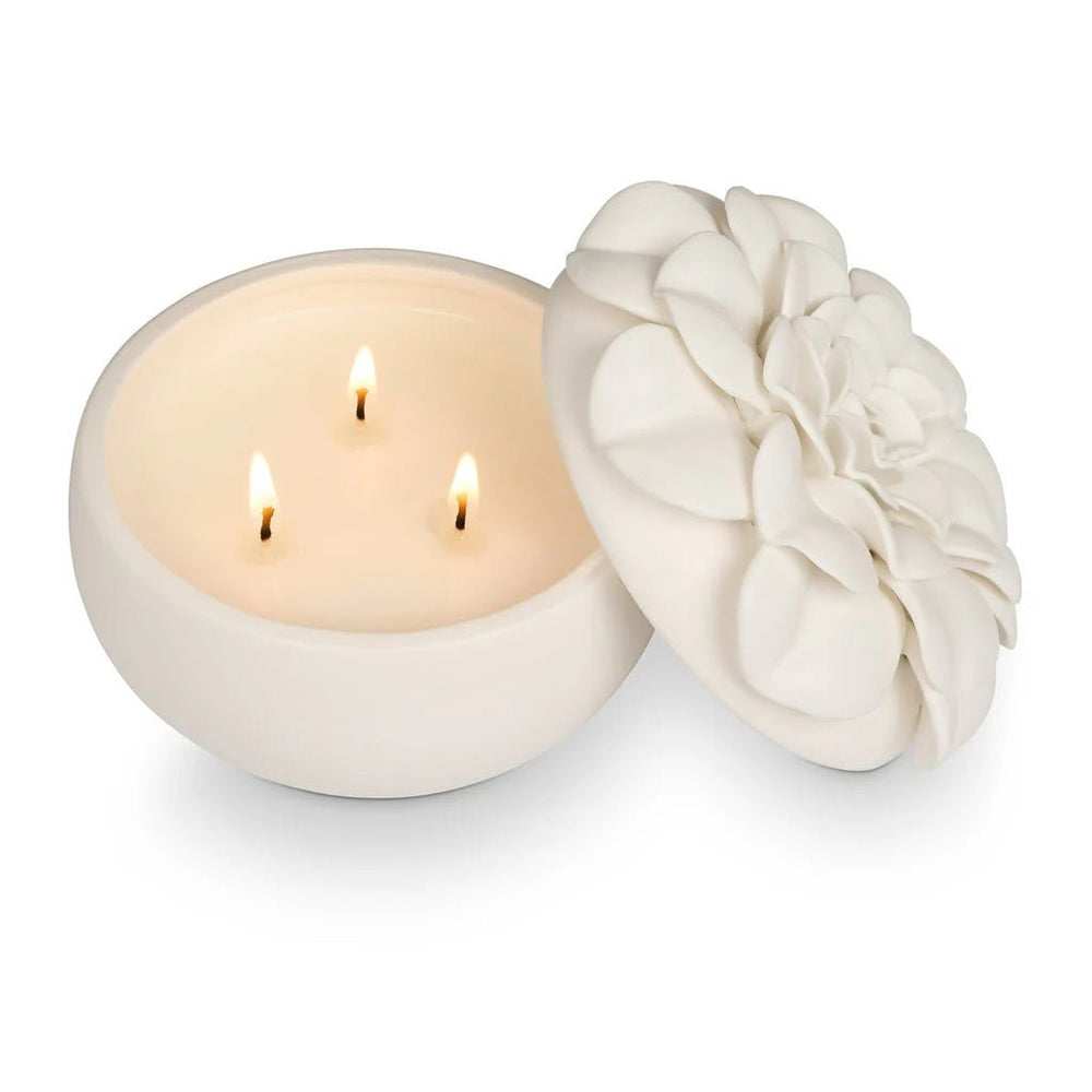 
                      
                        Citrus Crush Ceramic Flower Candle by Illume at Confetti Gift and Party
                      
                    