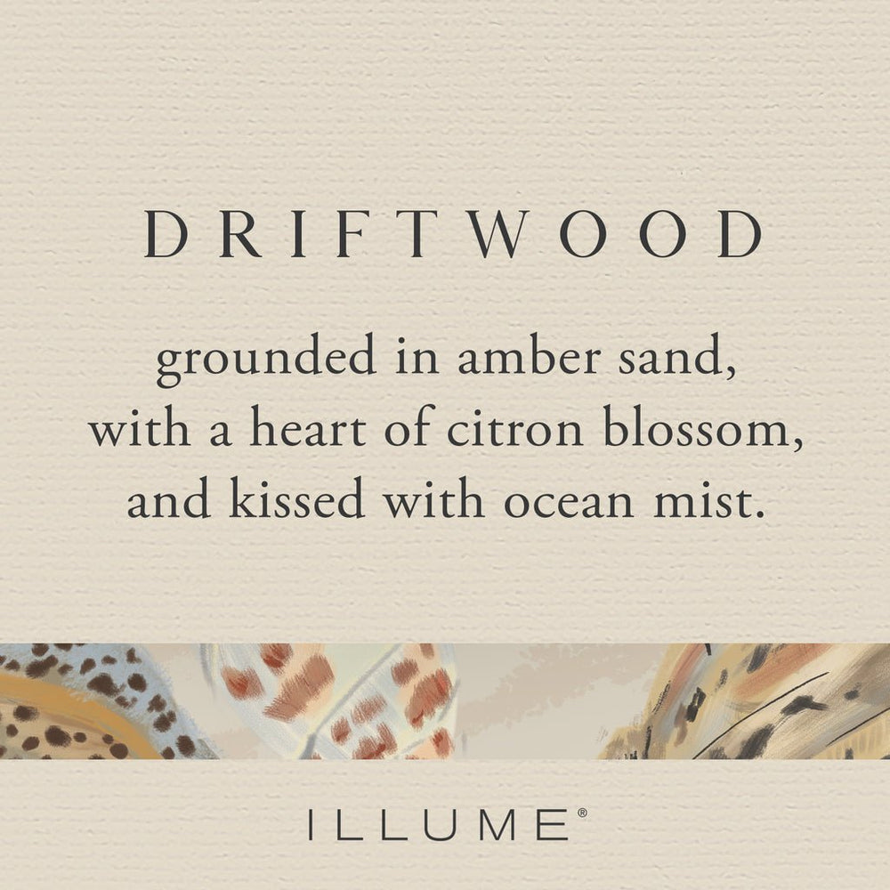 
                      
                        Driftwood Beach Aromatic Diffuser by Illume at Confetti Gift and Party
                      
                    