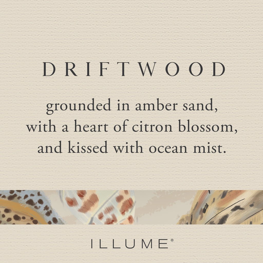 Driftwood Beach Aromatic Diffuser by Illume at Confetti Gift and Party
