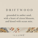 Driftwood Beach Aromatic Diffuser by Illume at Confetti Gift and Party