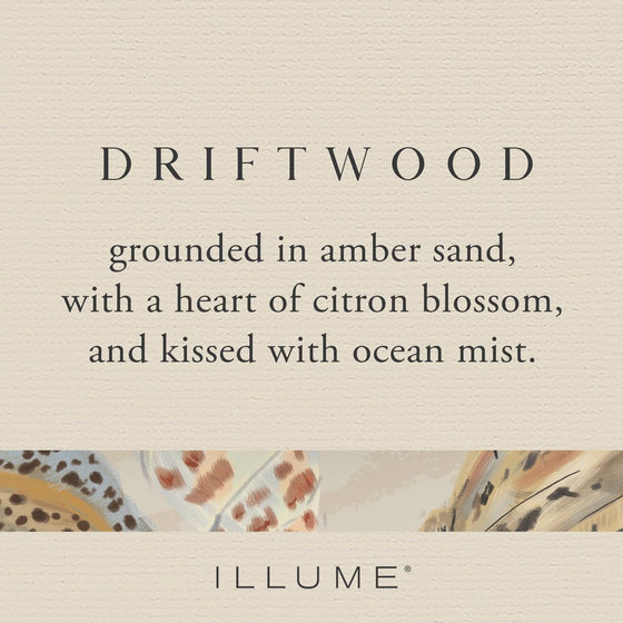 Driftwood Beach Boxed Glass Candle - Refillable by Illume at Confetti Gift and Party