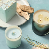 Fresh Sea Salt Assorted Tapers by Illume at Confetti Gift and Party