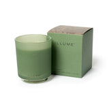 Hinoki Sage Glass Candle by Illume at Confetti Gift and Party Tuscaloosa Alabama