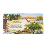 Just Like Me Board Book by JellyCat at Confetti Gift and Party