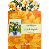Mini English Daffodils Pop Up Greeting Card by FreshCut Paper LLC at Confetti Gift and Party Tuscaloosa Alabama