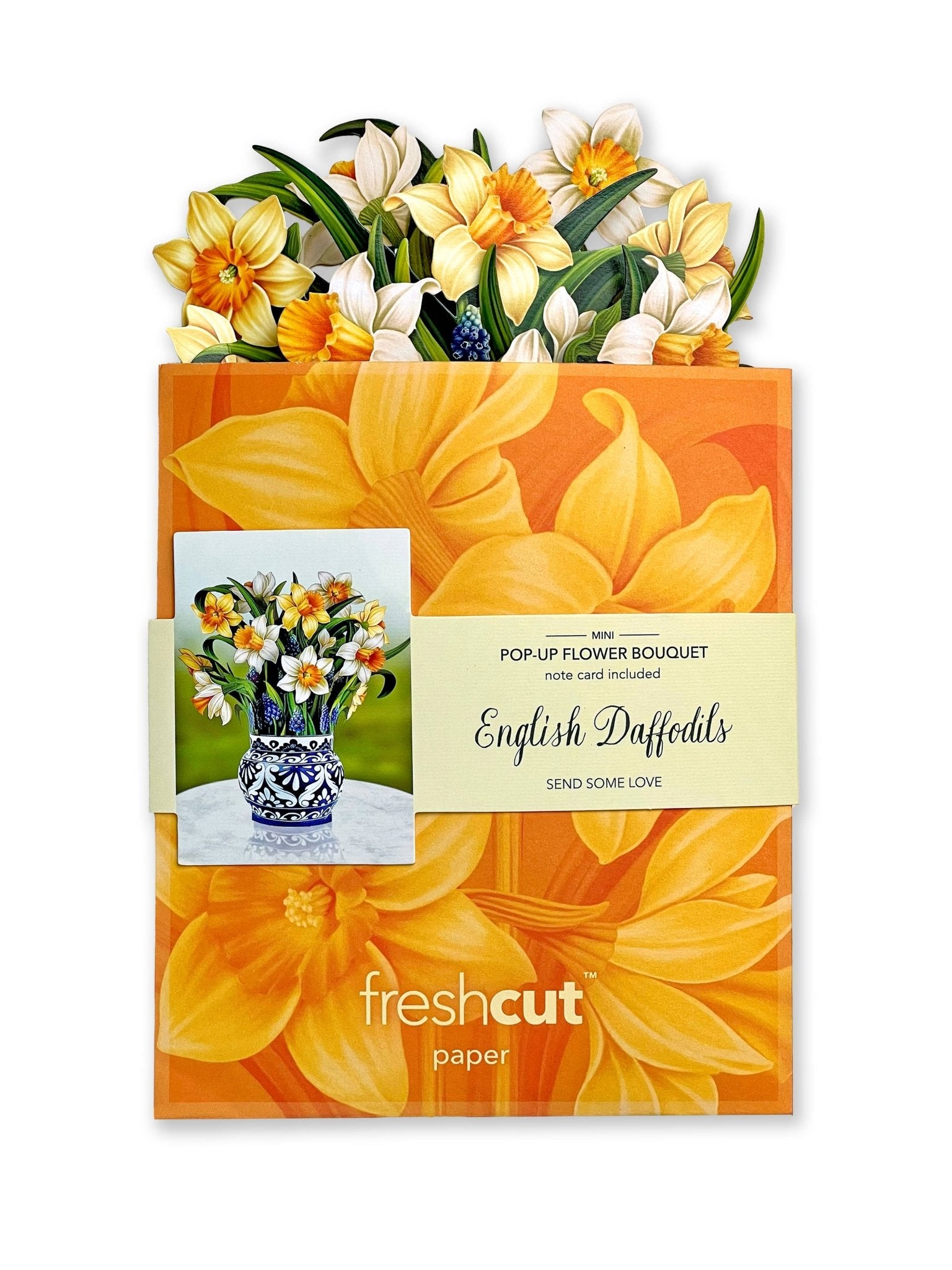 Mini English Daffodils Pop Up Greeting Card by FreshCut Paper LLC at Confetti Gift and Party Tuscaloosa Alabama