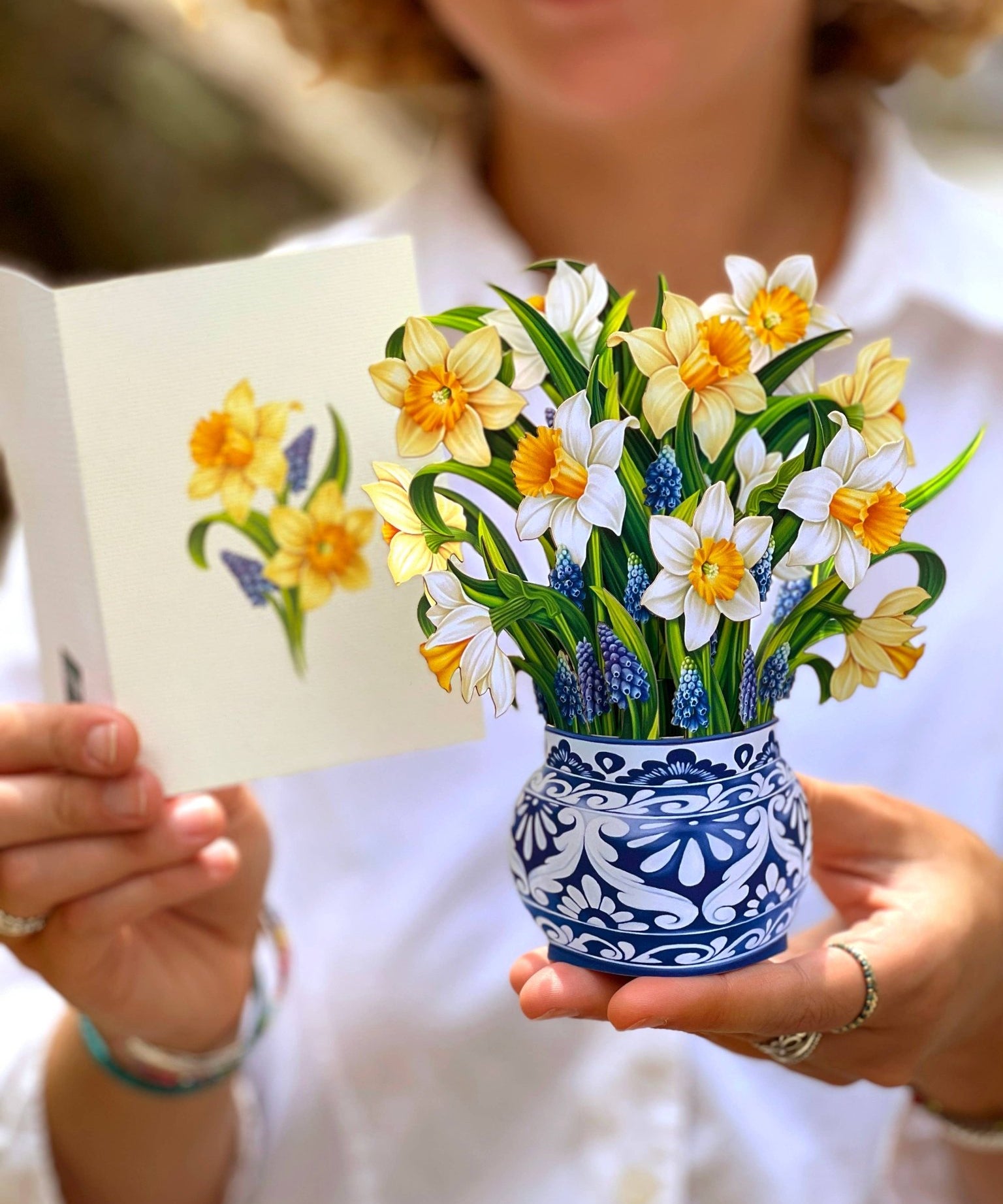 Mini English Daffodils Pop Up Greeting Card by FreshCut Paper LLC at Confetti Gift and Party Tuscaloosa Alabama