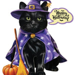 Mini Halloween Cat Pop Up Greeting Card by FreshCut Paper LLC at Confetti Gift and Party Tuscaloosa Alabama