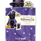 Mini Halloween Cat Pop Up Greeting Card by FreshCut Paper LLC at Confetti Gift and Party Tuscaloosa Alabama