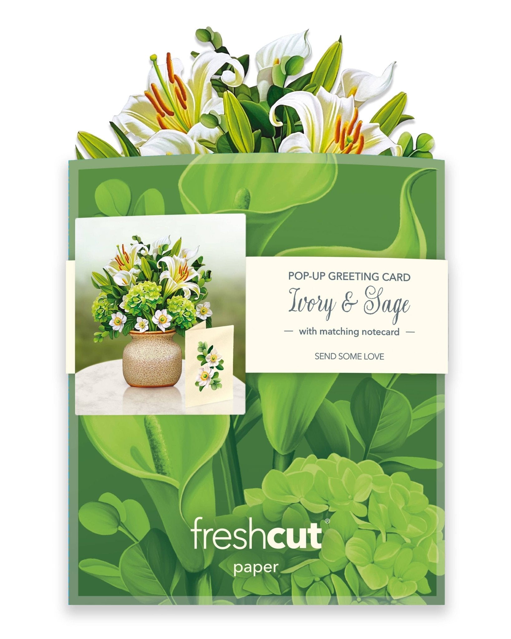 Mini Ivory & Sage Pop Up Greeting Card by FreshCut Paper LLC at Confetti Gift and Party Tuscaloosa Alabama