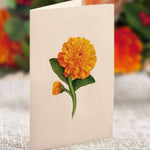 Mini Pumpkin Spice Pop Up Greeting Card by FreshCut Paper LLC at Confetti Gift and Party Tuscaloosa Alabama