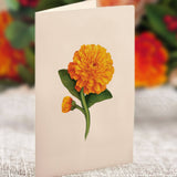 Mini Pumpkin Spice Pop Up Greeting Card by FreshCut Paper LLC at Confetti Gift and Party Tuscaloosa Alabama