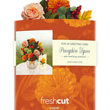 Mini Pumpkin Spice Pop Up Greeting Card by FreshCut Paper LLC at Confetti Gift and Party Tuscaloosa Alabama