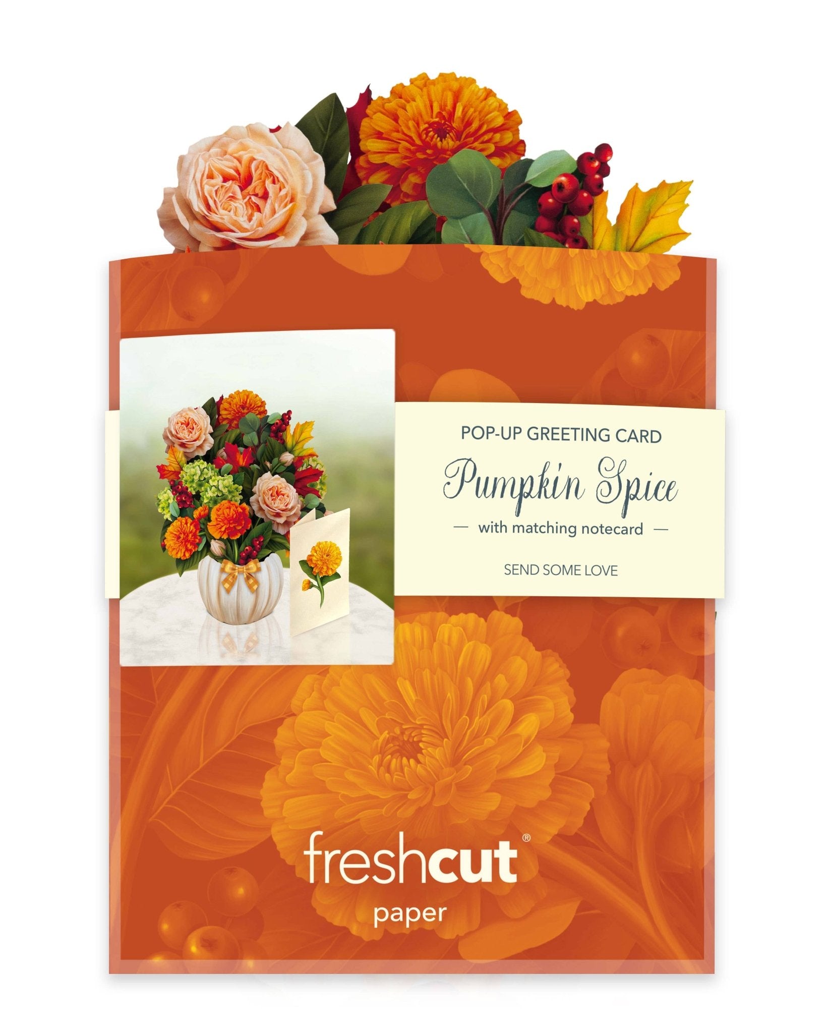 Mini Pumpkin Spice Pop Up Greeting Card by FreshCut Paper LLC at Confetti Gift and Party Tuscaloosa Alabama