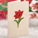 Mini Scarlett Amaryllis Pop Up Greeting Card by FreshCut Paper LLC at Confetti Gift and Party Tuscaloosa Alabama