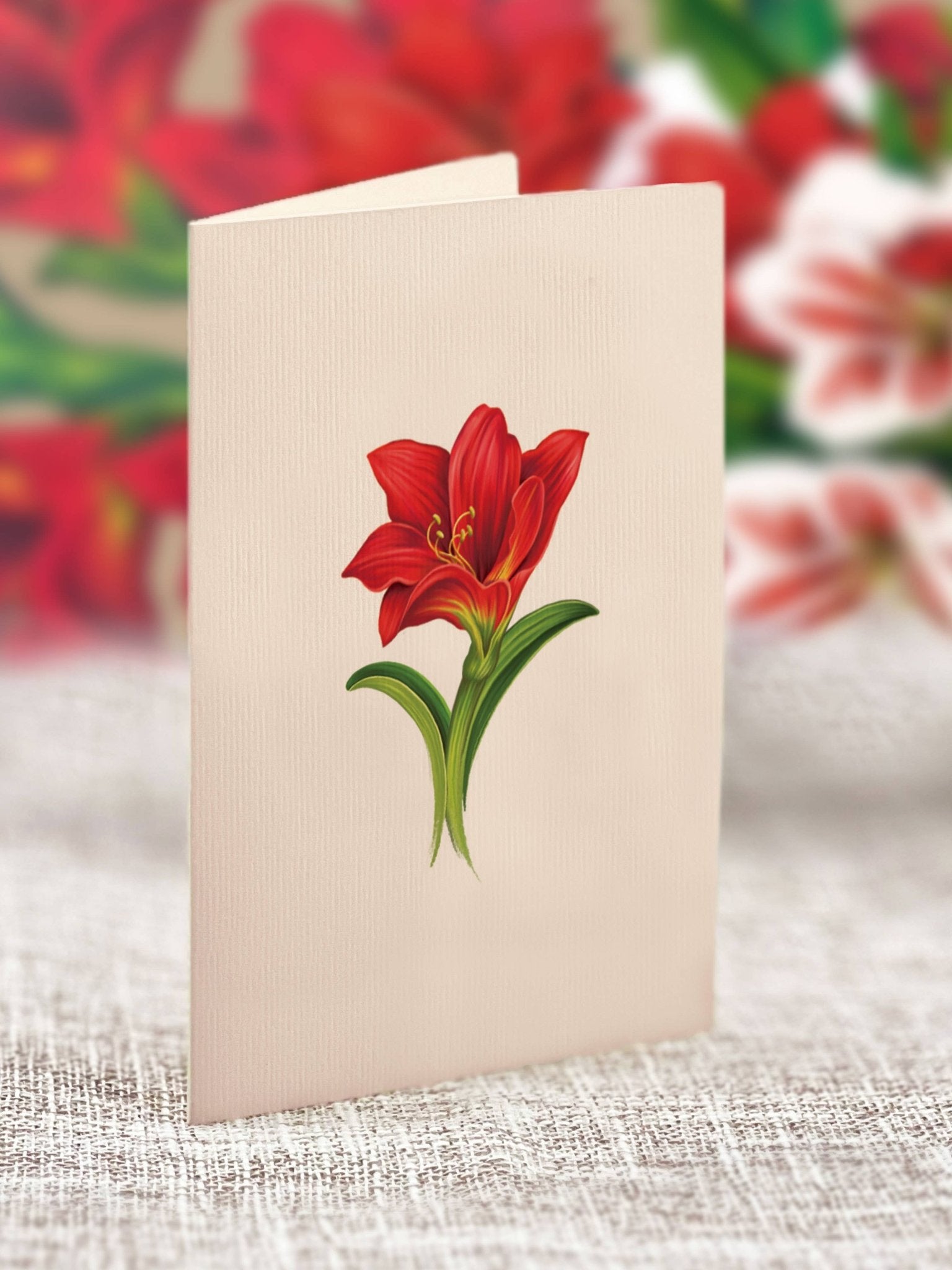 Mini Scarlett Amaryllis Pop Up Greeting Card by FreshCut Paper LLC at Confetti Gift and Party Tuscaloosa Alabama