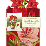 Mini Scarlett Amaryllis Pop Up Greeting Card by FreshCut Paper LLC at Confetti Gift and Party Tuscaloosa Alabama