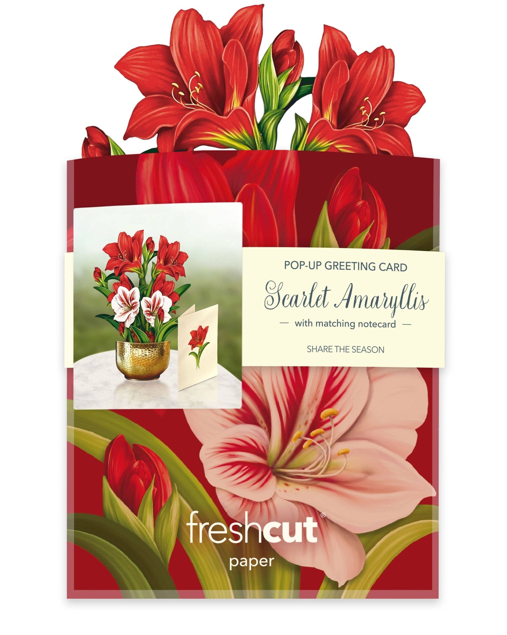 Mini Scarlett Amaryllis Pop Up Greeting Card by FreshCut Paper LLC at Confetti Gift and Party Tuscaloosa Alabama