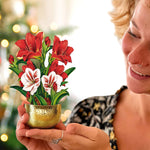 Mini Scarlett Amaryllis Pop Up Greeting Card by FreshCut Paper LLC at Confetti Gift and Party Tuscaloosa Alabama