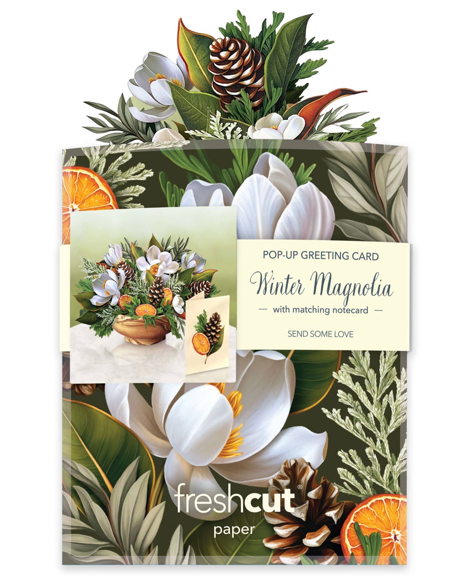 Mini Winter Magnolia Pop Up Greeting Card by FreshCut Paper LLC at Confetti Gift and Party Tuscaloosa Alabama