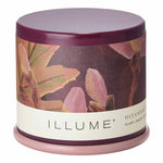 Oleander Oak Demi Vanity Tin Candle by Illume at Confetti Gift and Party Tuscaloosa Alabama