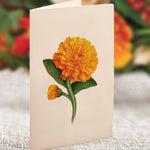 Pumpkin Spice Pop Up Greeting Card by FreshCut Paper LLC at Confetti Gift and Party Tuscaloosa Alabama