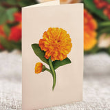 Pumpkin Spice Pop Up Greeting Card by FreshCut Paper LLC at Confetti Gift and Party Tuscaloosa Alabama