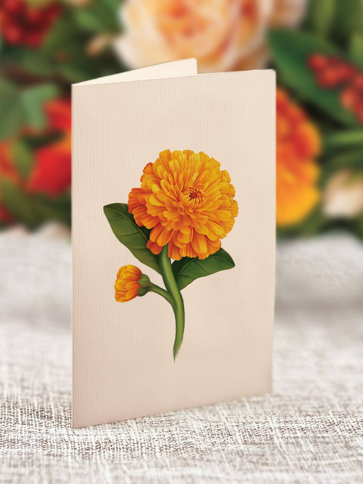 Pumpkin Spice Pop Up Greeting Card by FreshCut Paper LLC at Confetti Gift and Party Tuscaloosa Alabama