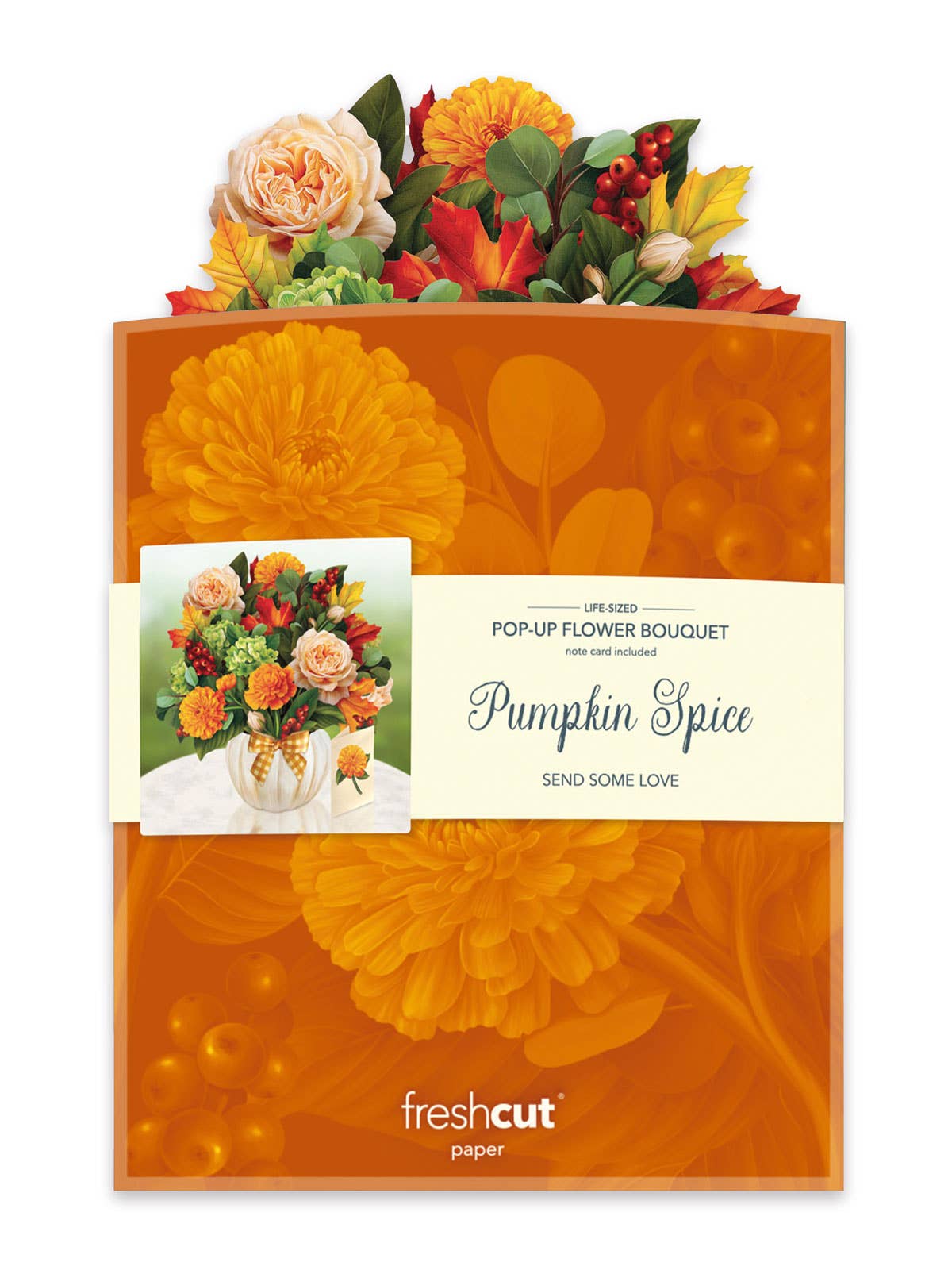 Pumpkin Spice Pop Up Greeting Card by FreshCut Paper LLC at Confetti Gift and Party Tuscaloosa Alabama
