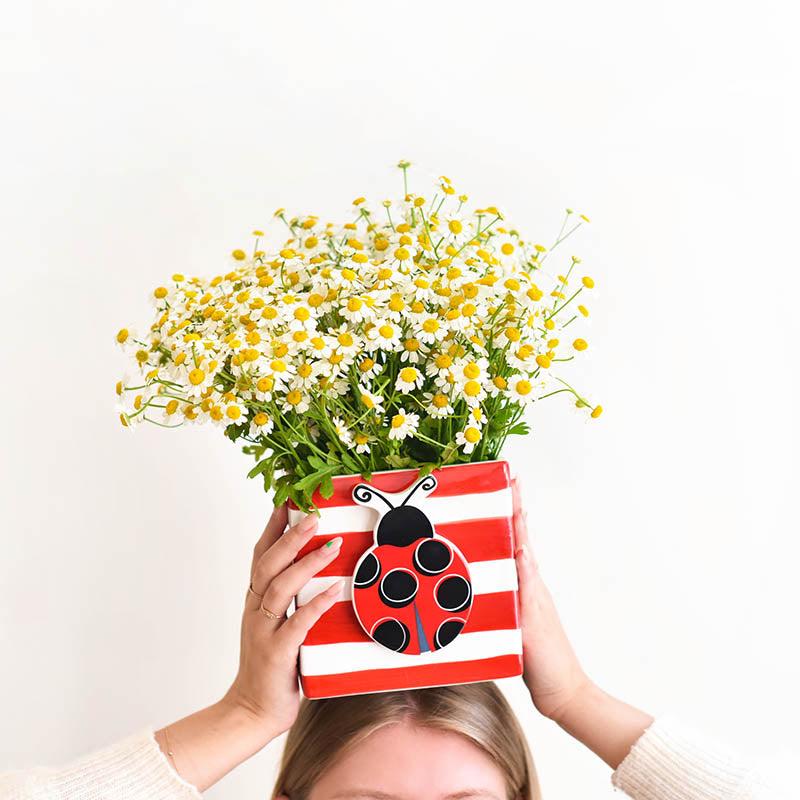 Red Stripe Mini Nesting Cube - Medium by Happy Everything at Confetti Gift and Party