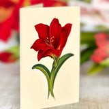 Scarlet Amaryllis Pop Up Greeting Card by FreshCut Paper LLC at Confetti Gift and Party Tuscaloosa Alabama