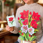 Scarlet Amaryllis Pop Up Greeting Card by FreshCut Paper LLC at Confetti Gift and Party Tuscaloosa Alabama
