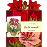 Scarlet Amaryllis Pop Up Greeting Card by FreshCut Paper LLC at Confetti Gift and Party Tuscaloosa Alabama