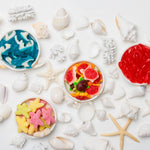 Starfish Sweeties by Candy Club at Confetti Gift and Party Tuscaloosa Alabama