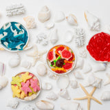Starfish Sweeties by Candy Club at Confetti Gift and Party Tuscaloosa Alabama