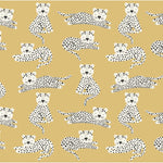 Up and Away Cheetah by Punch Studio at Confetti Gift and Party Tuscaloosa Alabama