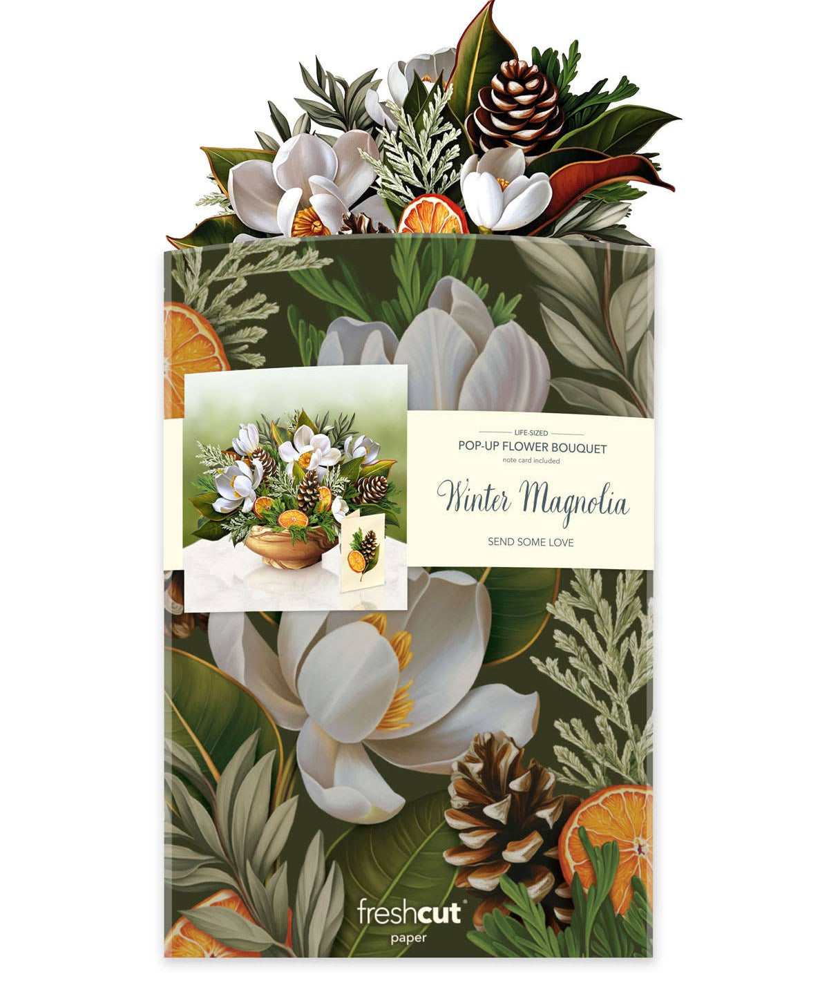 Winter Magnolia Pop Up Greeting Card by FreshCut Paper LLC at Confetti Gift and Party Tuscaloosa Alabama