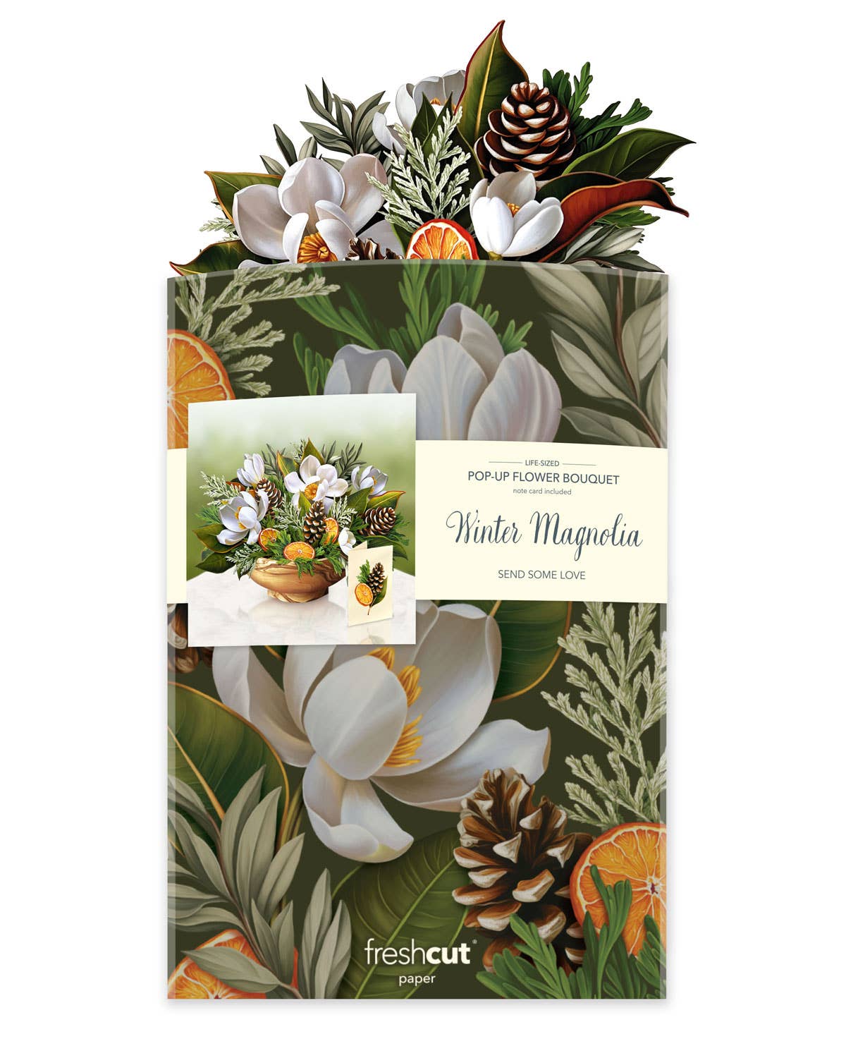 Winter Magnolia Pop Up Greeting Card by FreshCut Paper LLC at Confetti Gift and Party Tuscaloosa Alabama