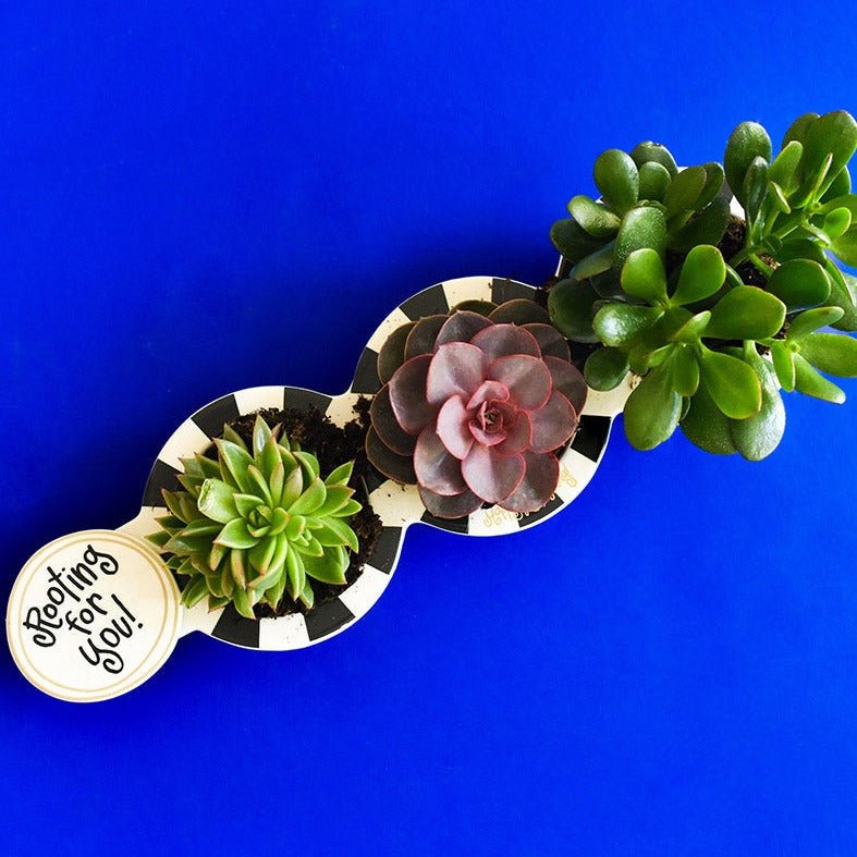 Happy Everything Black Stripe Mini Trio Bowl - #confetti-gift-and-party #-Happy Everything