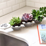 Happy Everything Black Stripe Mini Trio Bowl - #confetti-gift-and-party #-Happy Everything